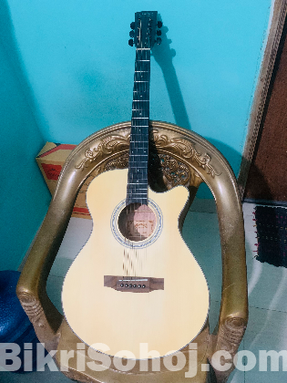 Martin Lee Acoustic guiter model Z-4016CN